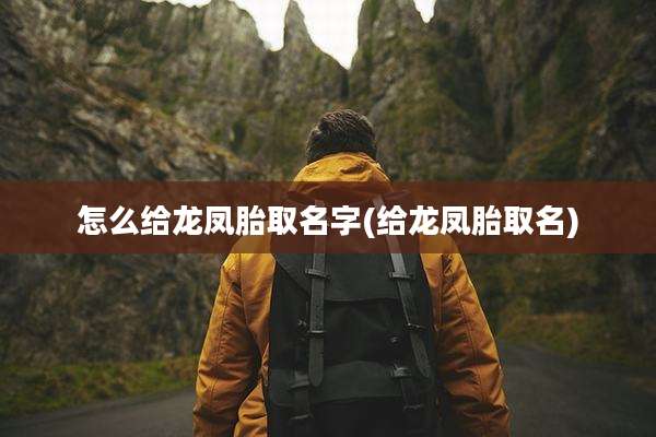 怎么给龙凤胎取名字(给龙凤胎取名)