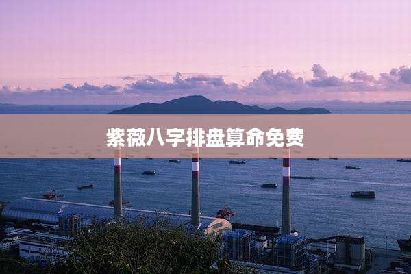 紫薇八字排盘算命免费