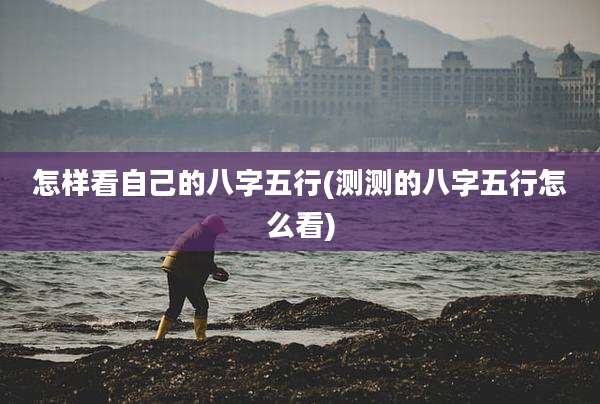 怎样看自己的八字五行(测测的八字五行怎么看)