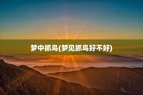 梦中抓鸟(梦见抓鸟好不好)