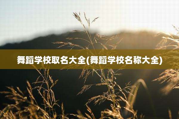 舞蹈学校取名大全(舞蹈学校名称大全)