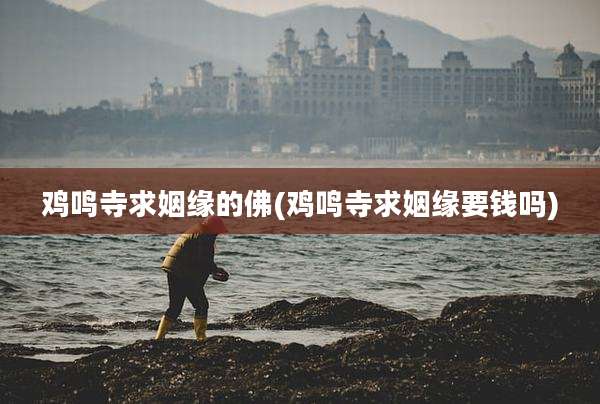 鸡鸣寺求姻缘的佛(鸡鸣寺求姻缘要钱吗)