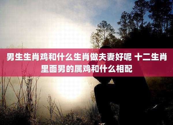 男生生肖鸡和什么生肖做夫妻好呢 十二生肖里面男的属鸡和什么相配
