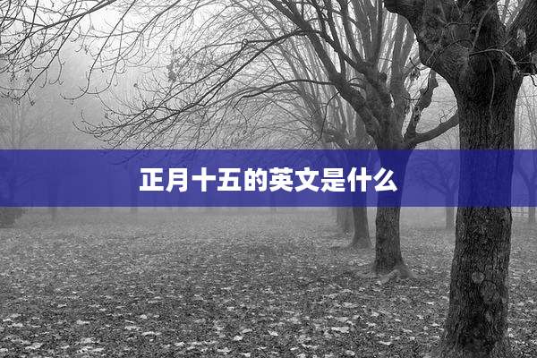正月十五的英文是什么