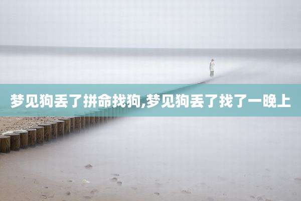 梦见狗丢了拼命找狗,梦见狗丢了找了一晚上
