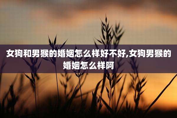 女狗和男猴的婚姻怎么样好不好,女狗男猴的婚姻怎么样阿