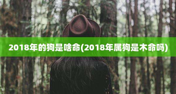 2018年的狗是啥命(2018年属狗是木命吗)