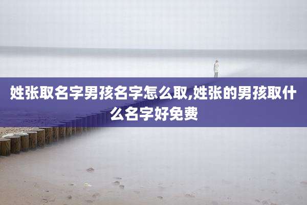 姓张取名字男孩名字怎么取,姓张的男孩取什么名字好免费
