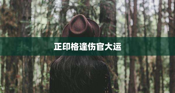 正印格逢伤官大运