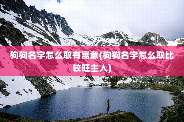 狗狗名字怎么取有寓意(狗狗名字怎么取比较旺主人)