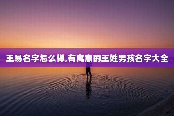 王易名字怎么样,有寓意的王姓男孩名字大全