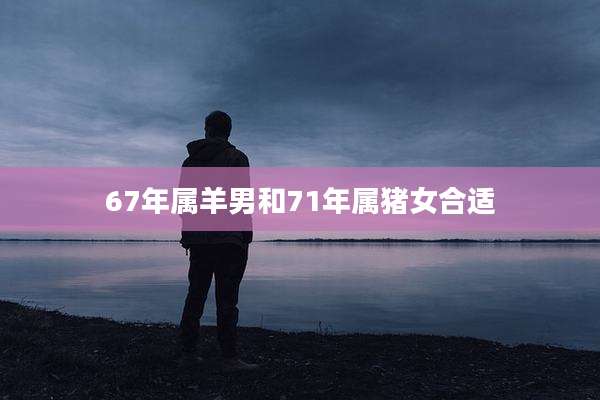 67年属羊男和71年属猪女合适
