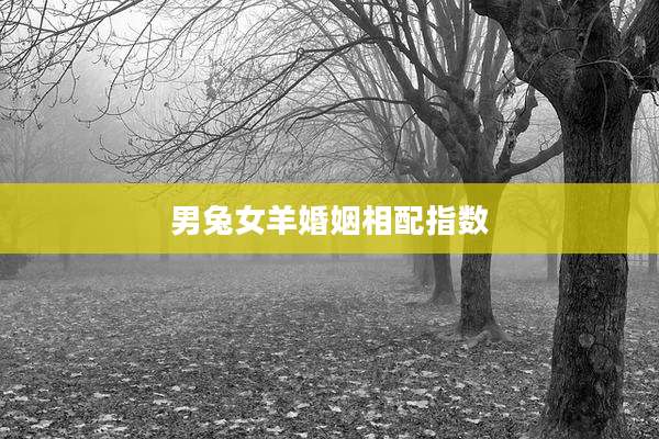 男兔女羊婚姻相配指数