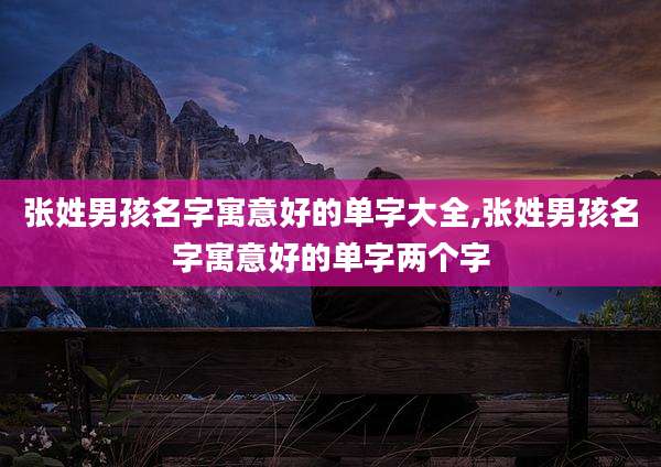 张姓男孩名字寓意好的单字大全,张姓男孩名字寓意好的单字两个字
