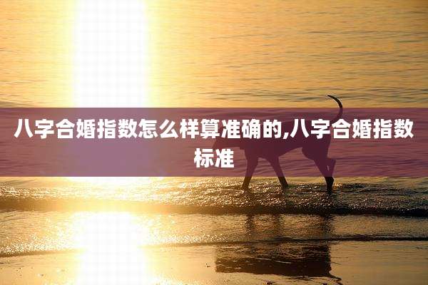 八字合婚指数怎么样算准确的,八字合婚指数标准