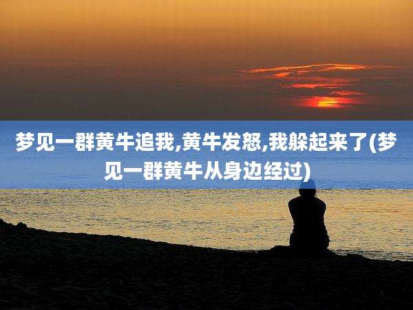 梦见一群黄牛追我,黄牛发怒,我躲起来了(梦见一群黄牛从身边经过)