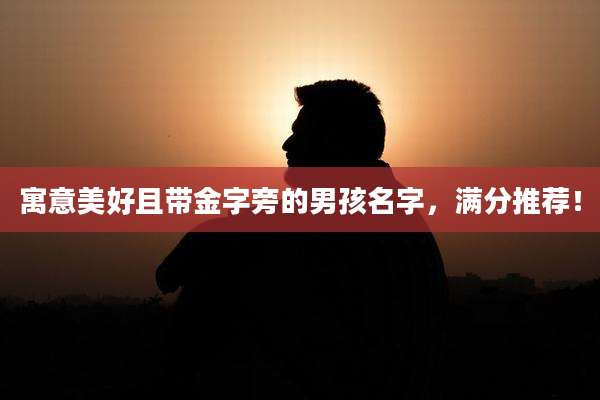 寓意美好且带金字旁的男孩名字，满分推荐！