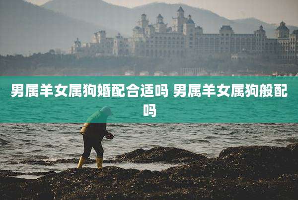 男属羊女属狗婚配合适吗 男属羊女属狗般配吗