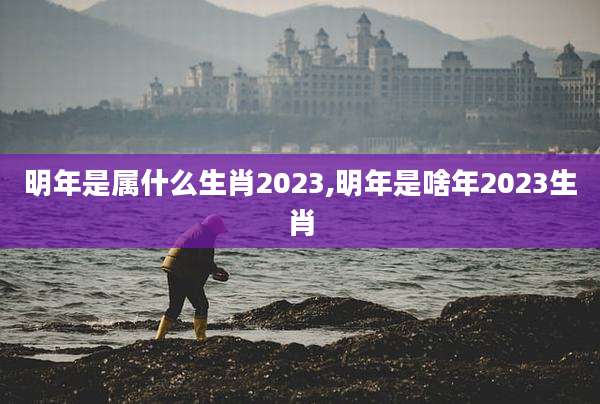 明年是属什么生肖2023,明年是啥年2023生肖