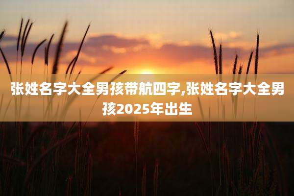 张姓名字大全男孩带航四字,张姓名字大全男孩2025年出生