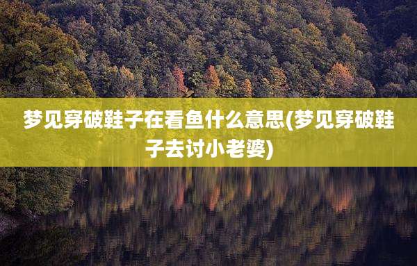 梦见穿破鞋子在看鱼什么意思(梦见穿破鞋子去讨小老婆)