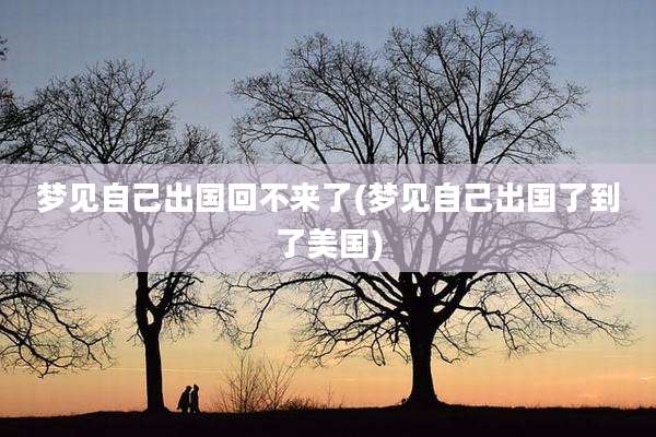 梦见自己出国回不来了(梦见自己出国了到了美国)