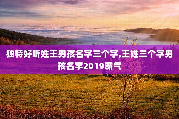 独特好听姓王男孩名字三个字,王姓三个字男孩名字2019霸气