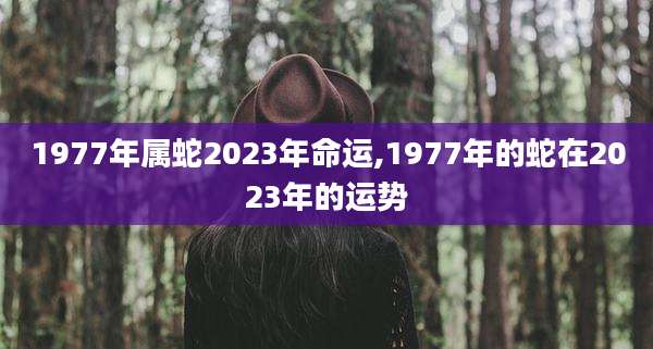 1977年属蛇2023年命运,1977年的蛇在2023年的运势
