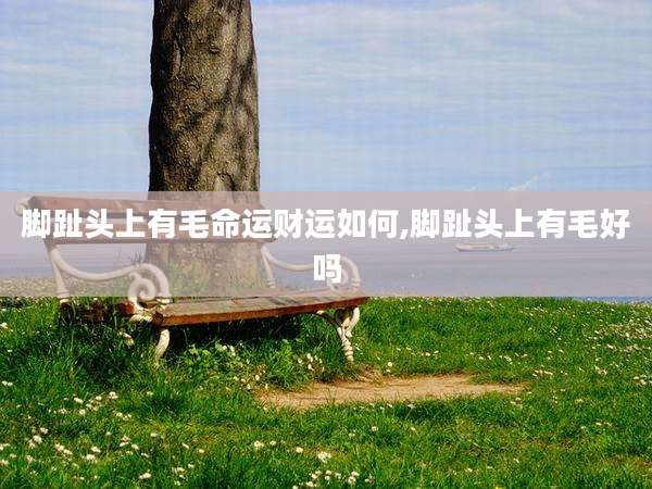 脚趾头上有毛命运财运如何,脚趾头上有毛好吗