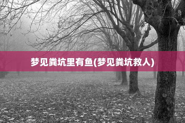 梦见粪坑里有鱼(梦见粪坑救人)