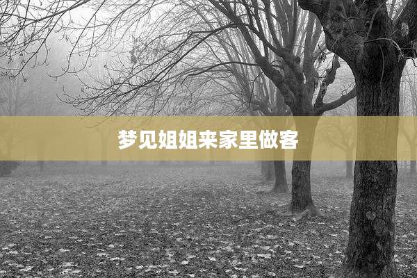 梦见姐姐来家里做客