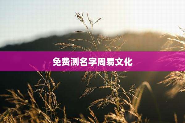 免费测名字周易文化