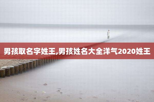 男孩取名字姓王,男孩姓名大全洋气2020姓王