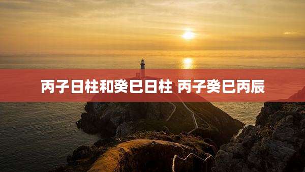 丙子日柱和癸巳日柱 丙子癸巳丙辰