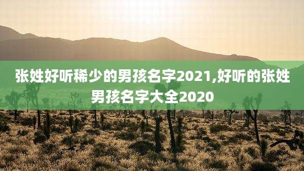 张姓好听稀少的男孩名字2021,好听的张姓男孩名字大全2020