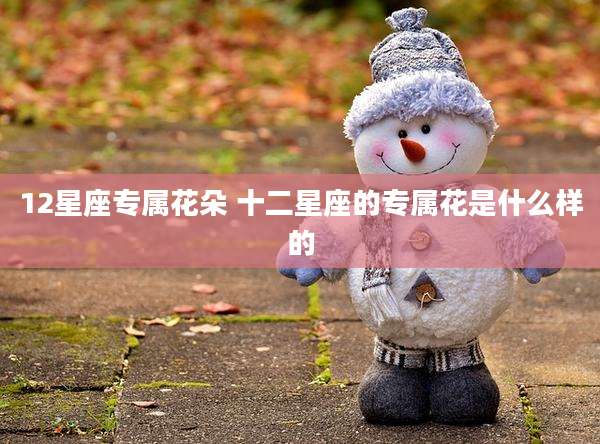 12星座专属花朵 十二星座的专属花是什么样的