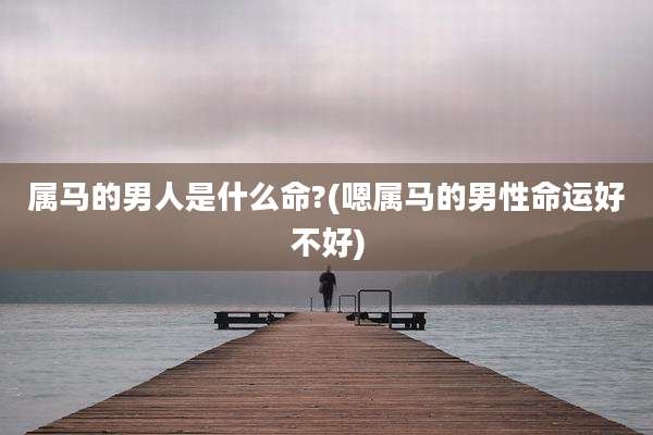 属马的男人是什么命?(嗯属马的男性命运好不好)