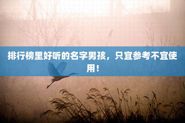 排行榜里好听的名字男孩，只宜参考不宜使用！
