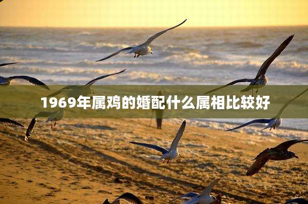 1969年属鸡的婚配什么属相比较好