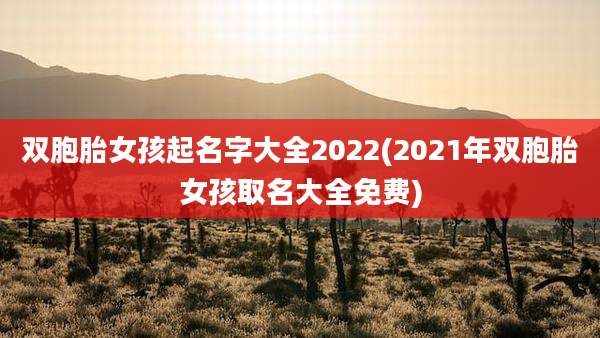 双胞胎女孩起名字大全2022(2021年双胞胎女孩取名大全免费)