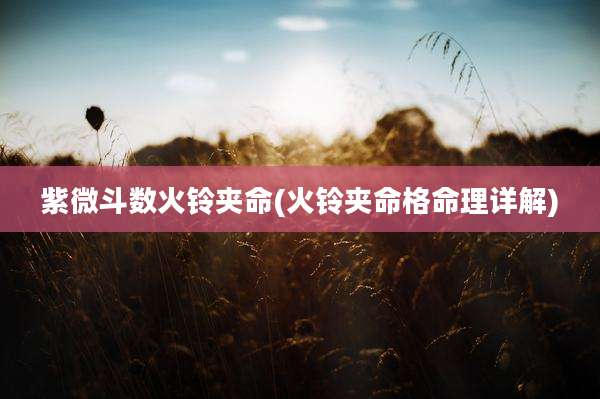 紫微斗数火铃夹命(火铃夹命格命理详解)
