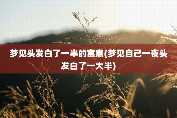 梦见头发白了一半的寓意(梦见自己一夜头发白了一大半)
