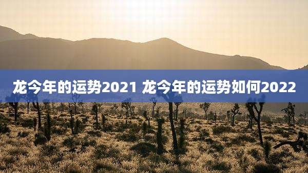 龙今年的运势2021 龙今年的运势如何2022