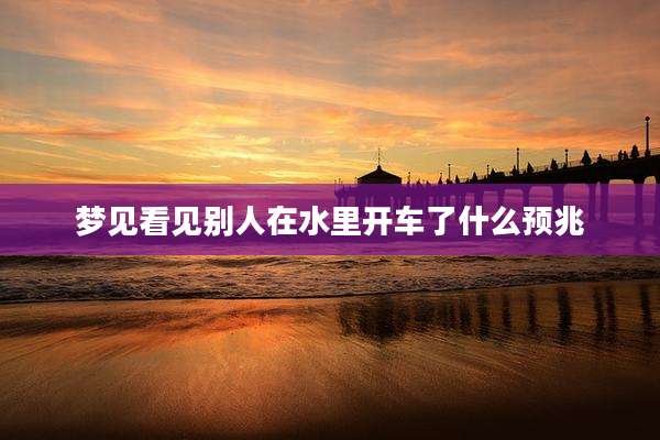 梦见看见别人在水里开车了什么预兆