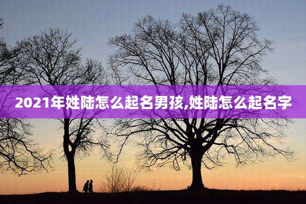 2021年姓陆怎么起名男孩,姓陆怎么起名字