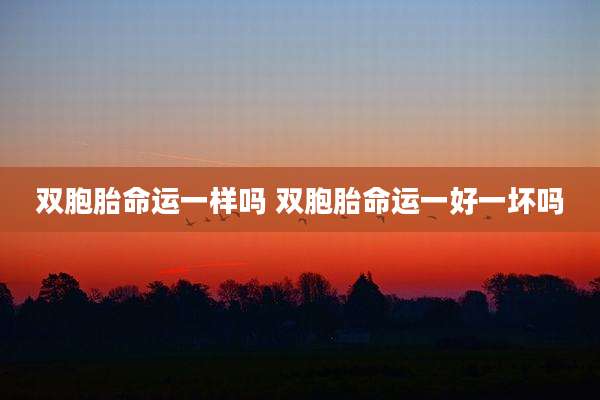 双胞胎命运一样吗 双胞胎命运一好一坏吗