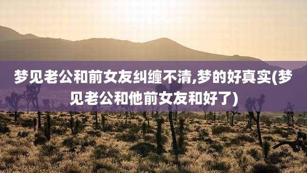 梦见老公和前女友纠缠不清,梦的好真实(梦见老公和他前女友和好了)