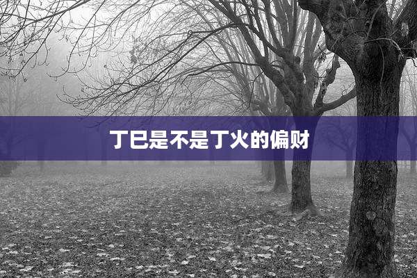 丁巳是不是丁火的偏财
