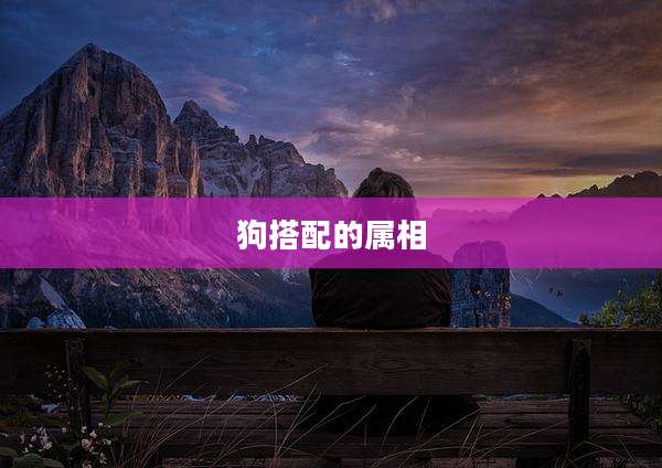 狗搭配的属相