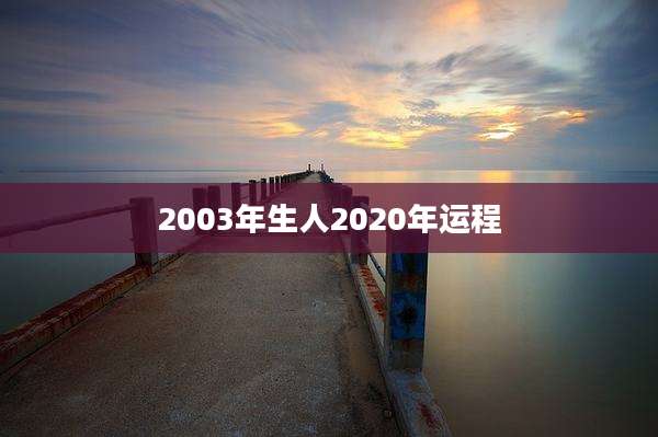 2003年生人2020年运程